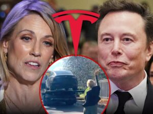 sheryl crow elon. musk wave to tesla getty instagram composite main