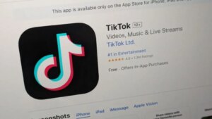 TikTok non-game revenue 2024