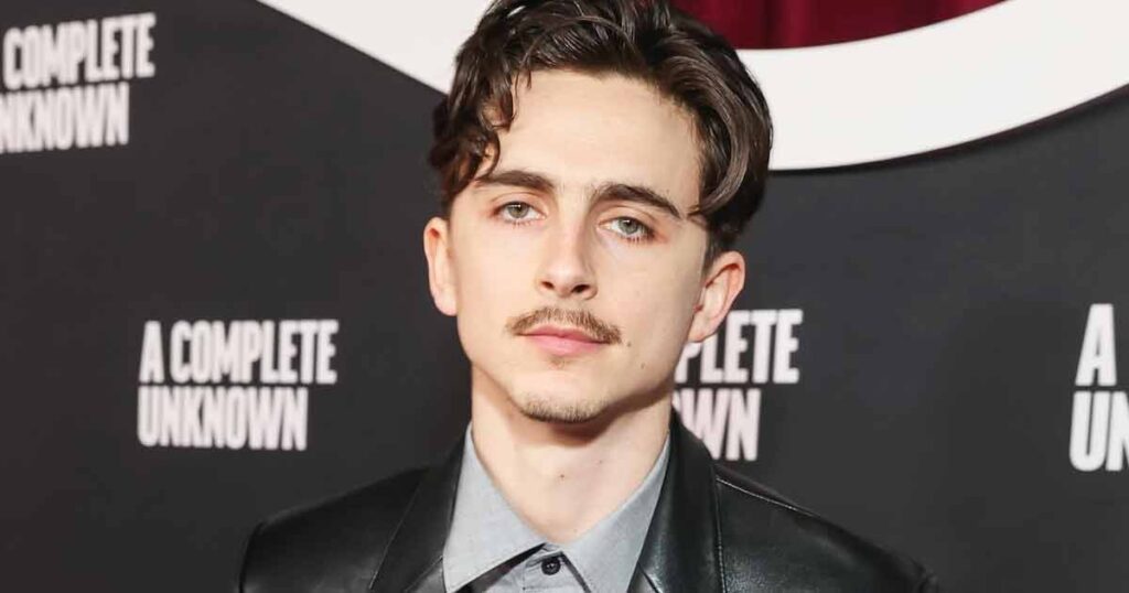 Timothee Chalamet Bob Dylan