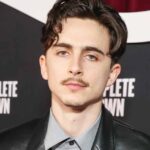 Timothee Chalamet Bob Dylan