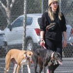 Jenna Marbles walking two dogs.