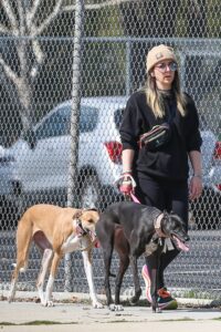 Jenna Marbles walking two dogs.