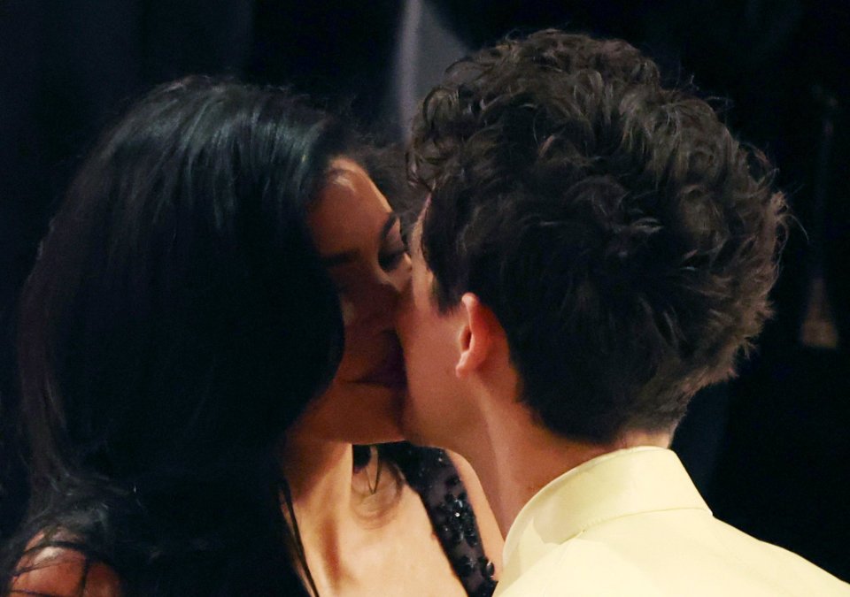 Timothée Chalamet and Kylie Jenner kissing.