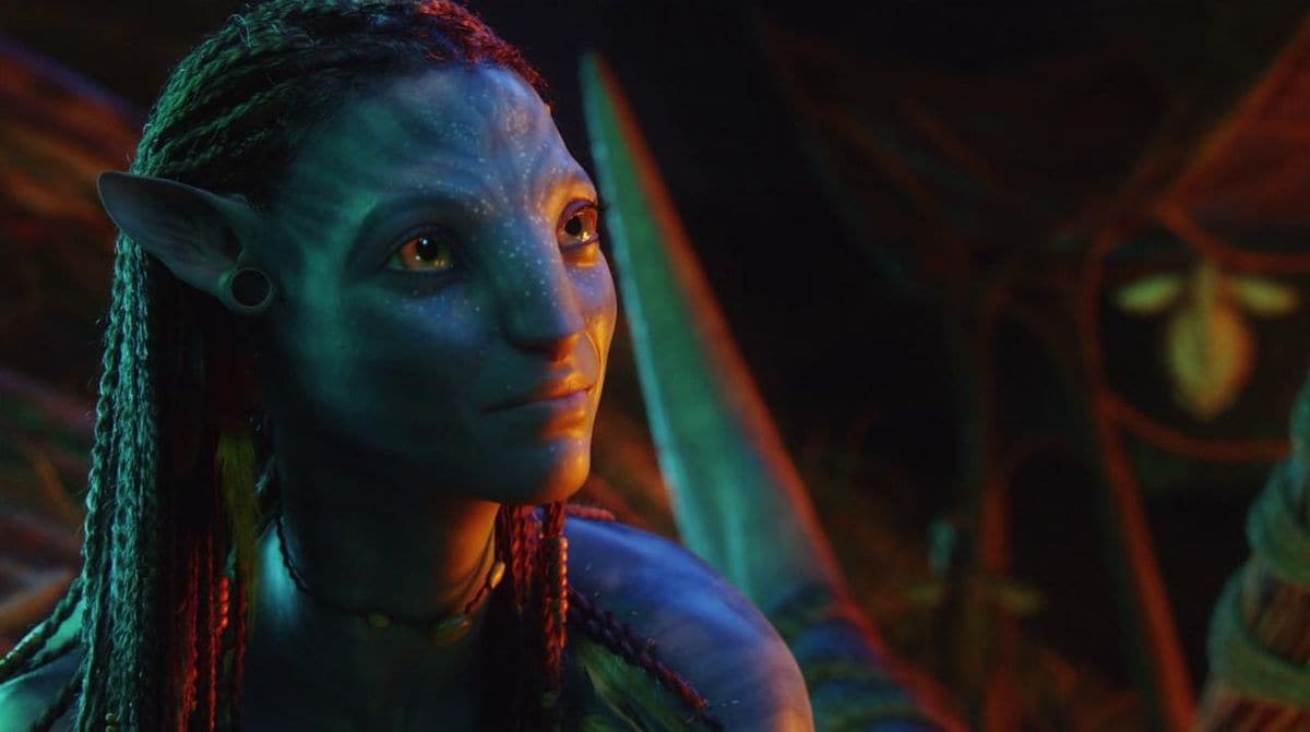 Zoe Saldana plays one of the leads in the 'Avatar' franchise