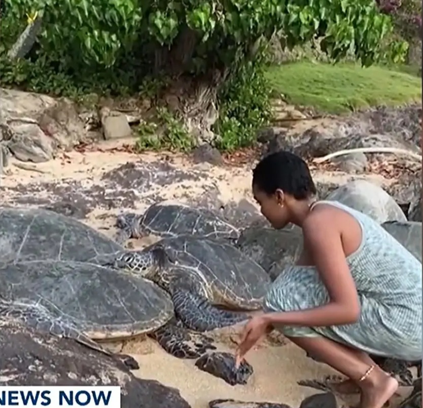 Actress touching sea turtles on a beach.