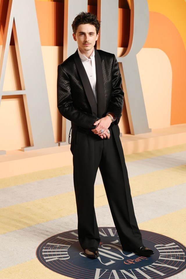 Timothée Chalamet at the Vanity Fair Oscar Party.