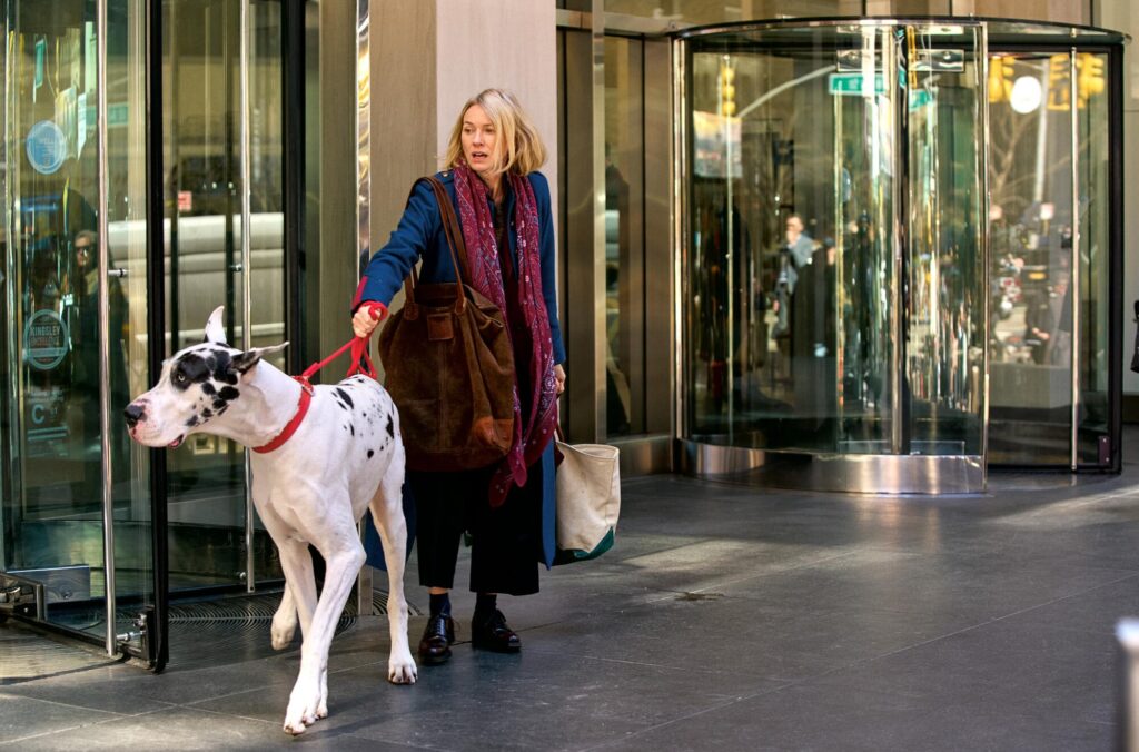 A woman exits an apartment building with a huge white dog on a leash.