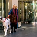 A woman exits an apartment building with a huge white dog on a leash.