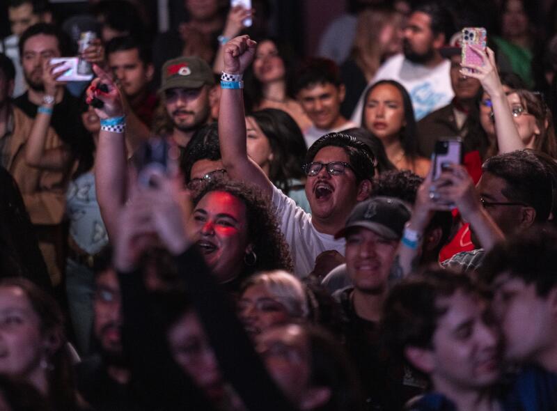 People hold cellphones aloft and some cheer during a concert at the Cathedral