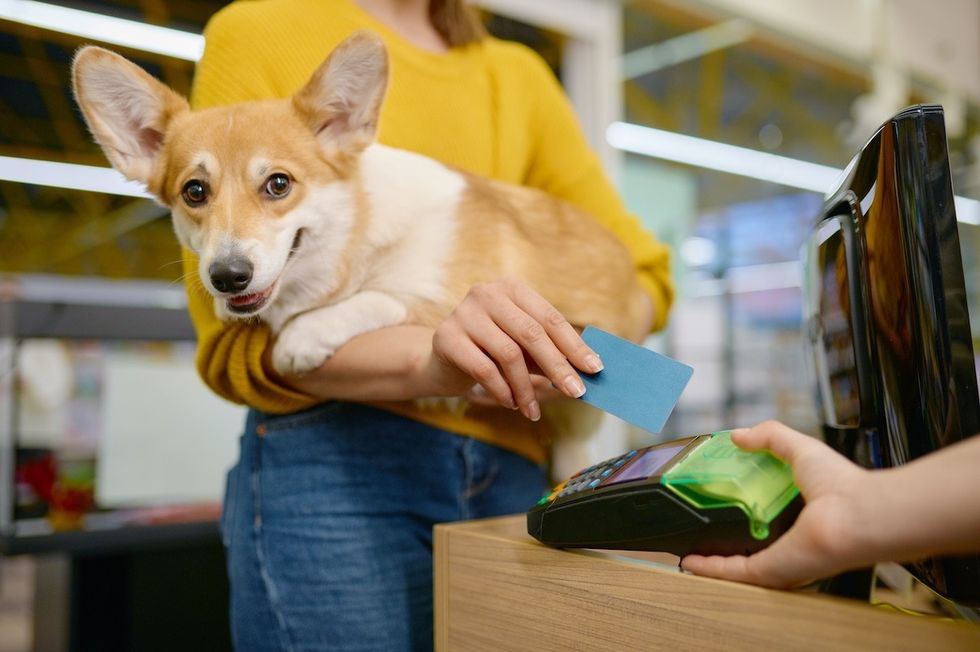 27 Dog-Friendly Stores Where You Can Bring Your Pet — Best Life