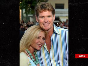 pamela bach david hasselhoff sub shutterstock swipe