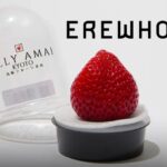 erewhon grocery 19 dollar strawberry