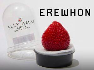 erewhon grocery 19 dollar strawberry