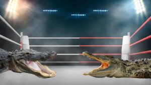 crocodile fighting an alligator in a boxing ring