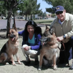 Couple with two German Shepherds.