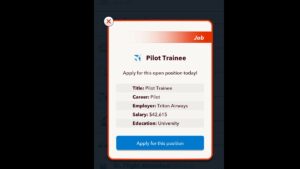 BitLife Pilot Trainee Job