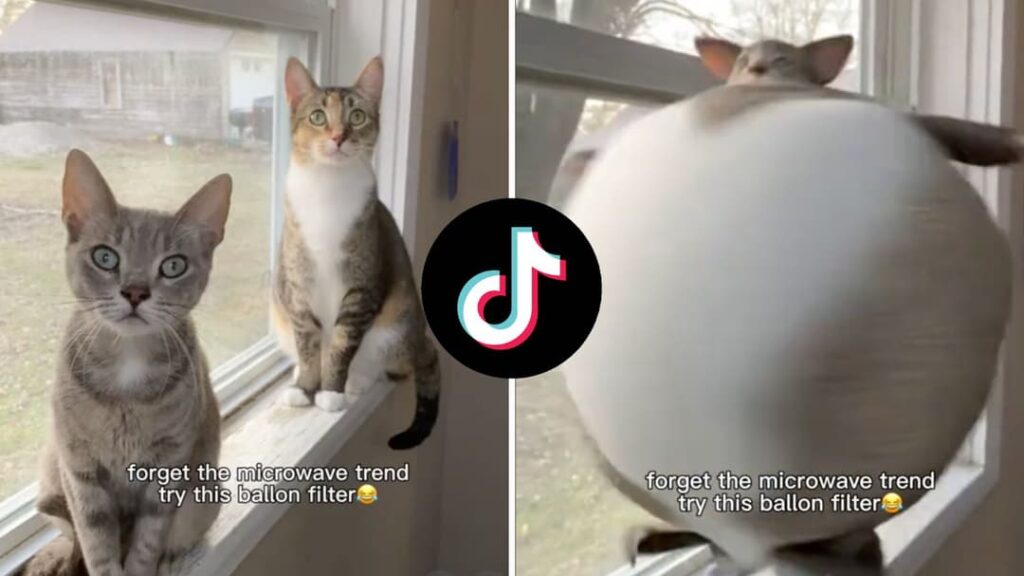 How to get the viral AI Balloon Filter on TikTok