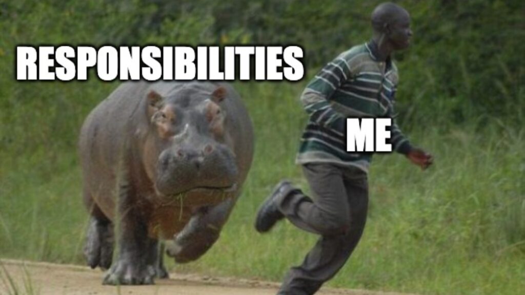 meme of a hippo chasing a guy