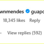 Shawn mendes guapo comment