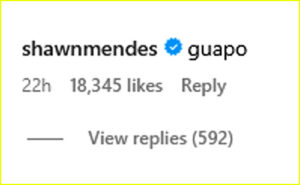 Shawn mendes guapo comment