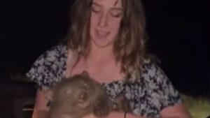 US influencer set for Australia ban after viral video snatching baby wombat