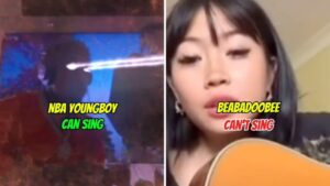 Viral ‘Artists who can sing vs artists who can’t’ meme explained