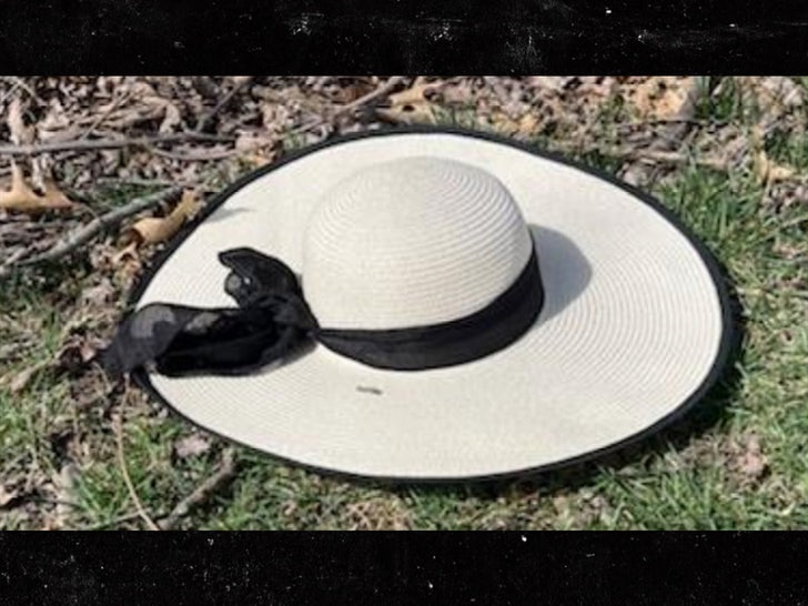 suspects large hat U.S. Department of Justice