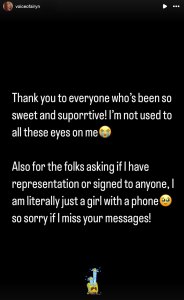 Airyn De Niro's statement on Instagram