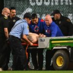 cubs fan falling getty