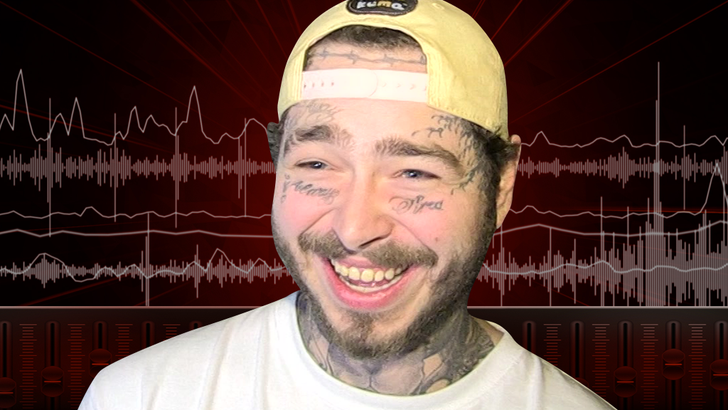 0613-postmalone-audio-art-tmz