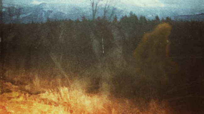 Bigfoot-in-headlights