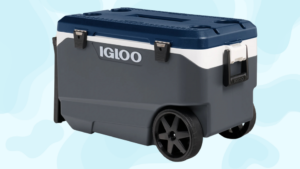 1.2M Igloo Coolers Recalled Over "Fingertip Amputation" Risk — Best Life