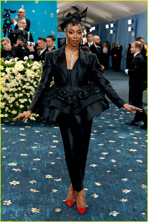 Met Gala 2025 Red Carpet Photos