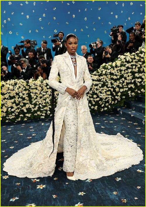 Met Gala 2025 Red Carpet Photos