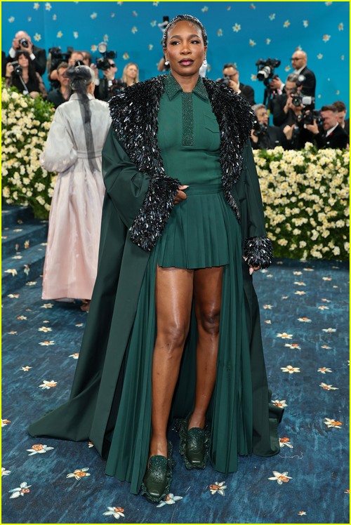 Met Gala 2025 Red Carpet Photos