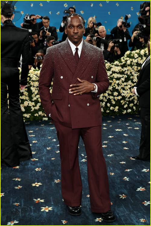 Met Gala 2025 Red Carpet Photos