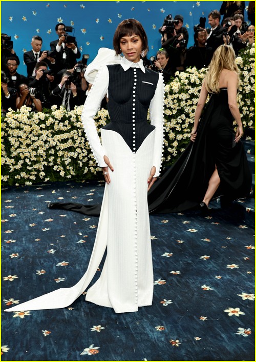 Met Gala 2025 Red Carpet Photos