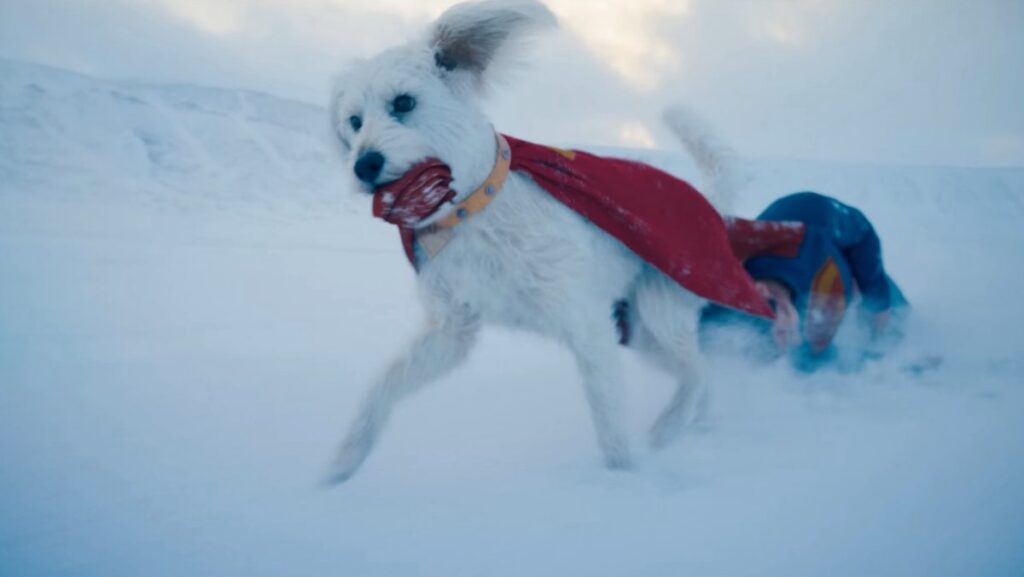 Krypto the Superdog from from James Gunn DCU Superman trailer (1)