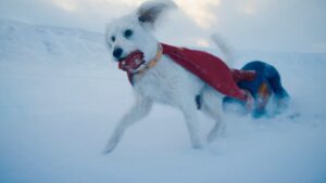 Krypto the Superdog from from James Gunn DCU Superman trailer (1)
