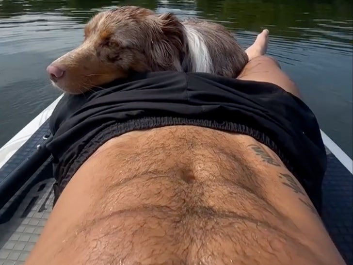 0506-Christian-Hogue-Dogs-Cuddling-Guess-Who-Sub1