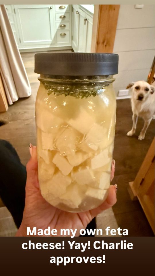 Homemade feta cheese in a jar.