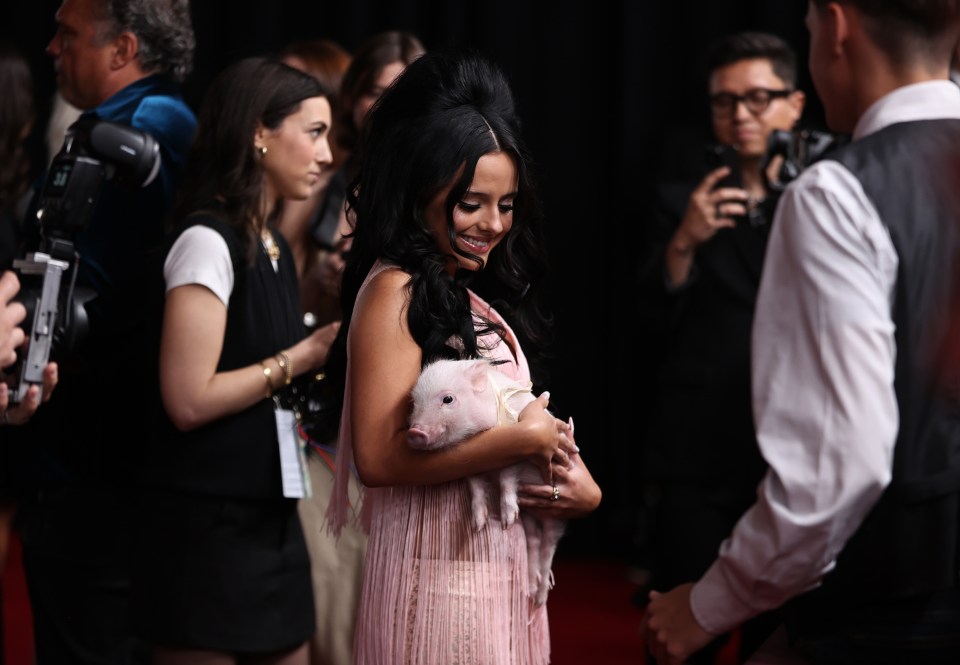 Jessie Murph holding a piglet at the Academy of Country Music Awards.