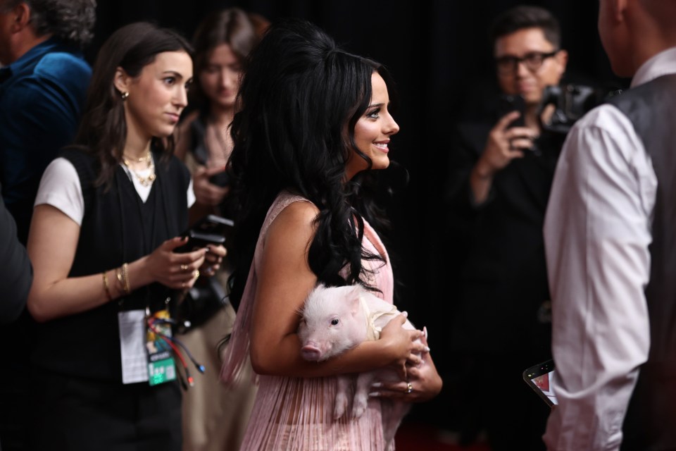 Jessie Murph at the Academy of Country Music Awards holding a small pig.