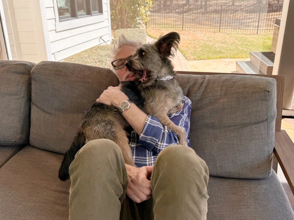 Ozu, o cachorro de James Gunn, que o inspirou a incluir Krypto no novo filme 'Superman'