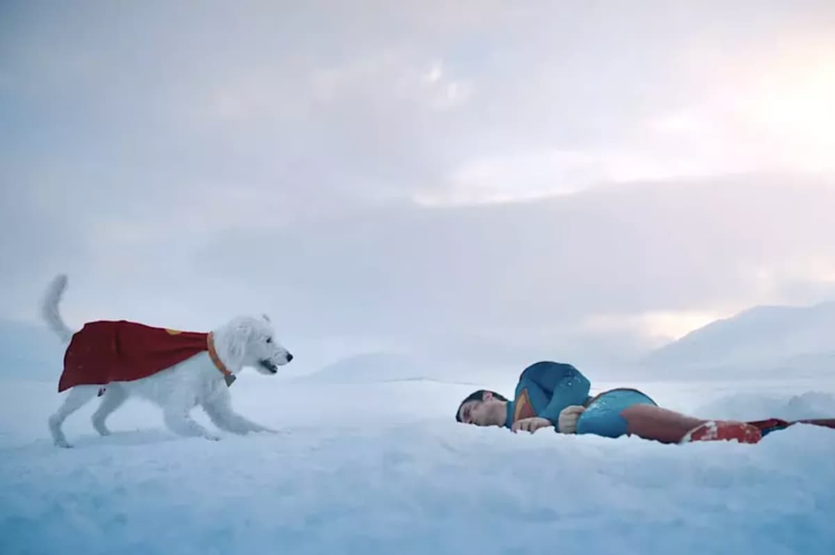 Krypto em 'Superman' de James Gunn.