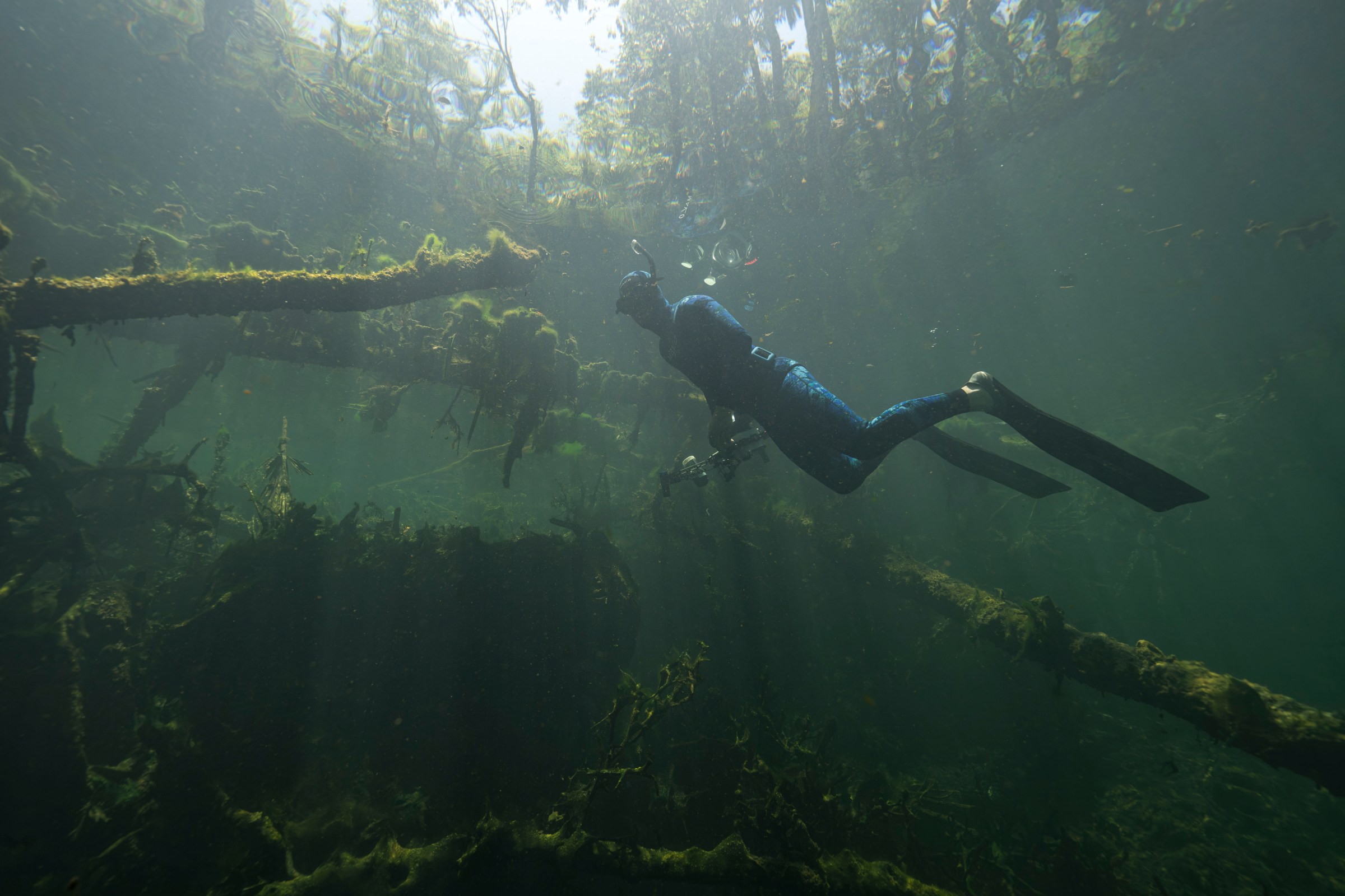 Joseph Ricketts is seen from a distance in snorkel gear and flippers under the water.