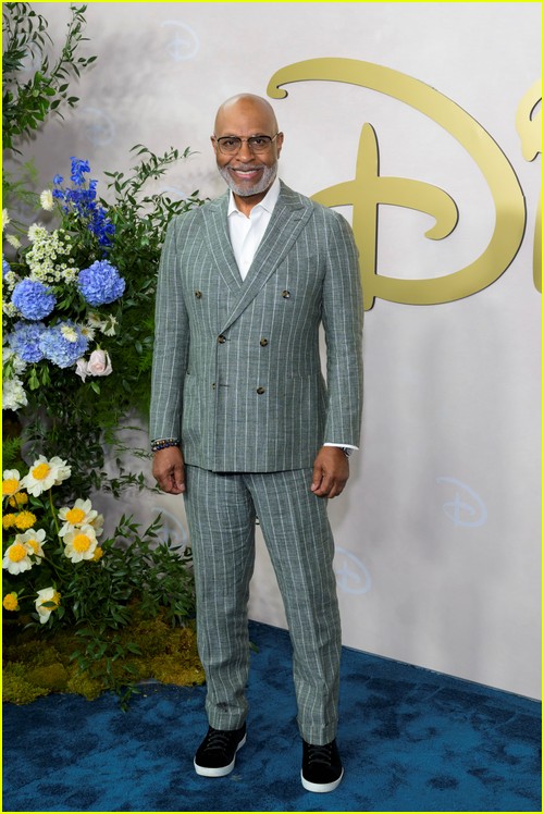 disney upfront