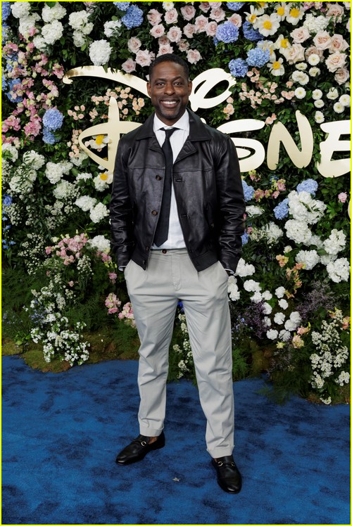 disney upfront