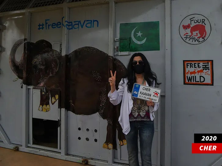 cher 2020 elephant reserve getty 1