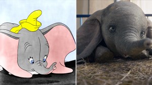 'Dumbo' (1941) and 'Dumbo' (2019)